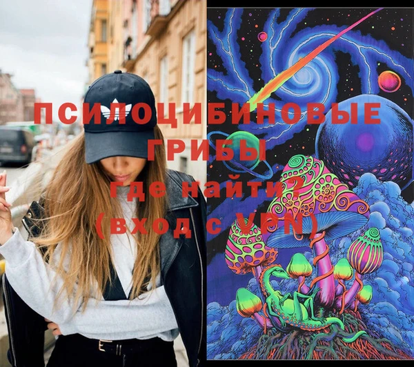 винт Новозыбков