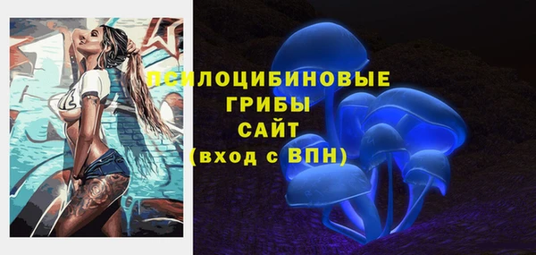 винт Новозыбков